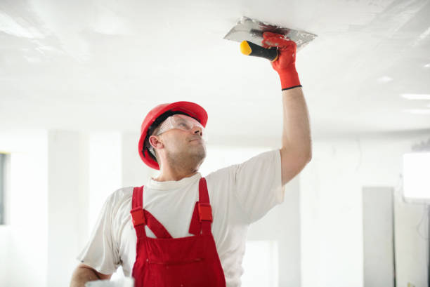 Best Trim and Molding Painting  in Odessa, TX