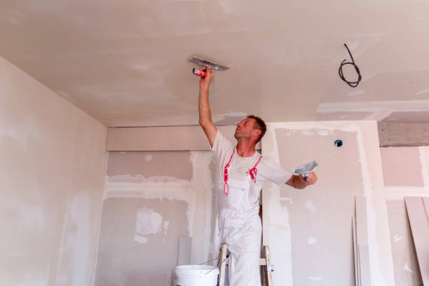 Best Remodeling Drywall  in Odessa, TX